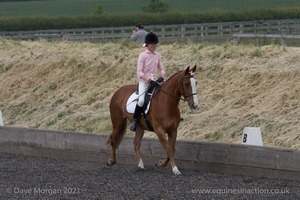 ISIS Dressage Challenge 2008